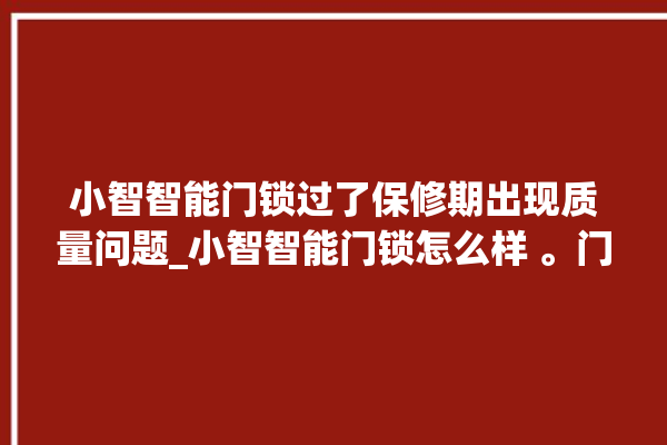 小智智能门锁过了保修期出现质量问题_小智智能门锁怎么样 。门锁