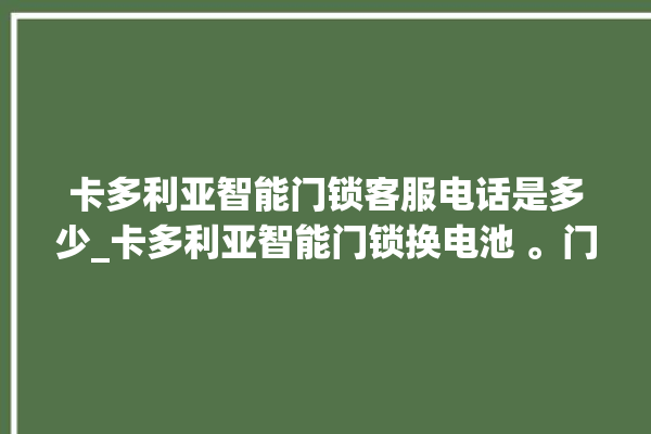 卡多利亚智能门锁客服电话是多少_卡多利亚智能门锁换电池 。门锁