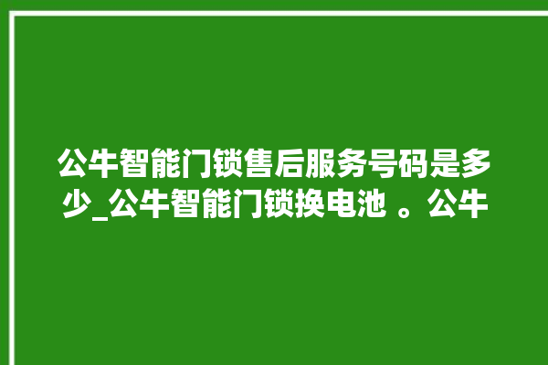 公牛智能门锁售后服务号码是多少_公牛智能门锁换电池 。公牛