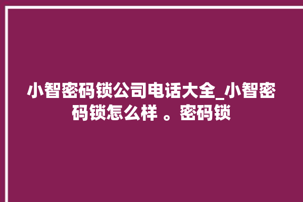 小智密码锁公司电话大全_小智密码锁怎么样 。密码锁