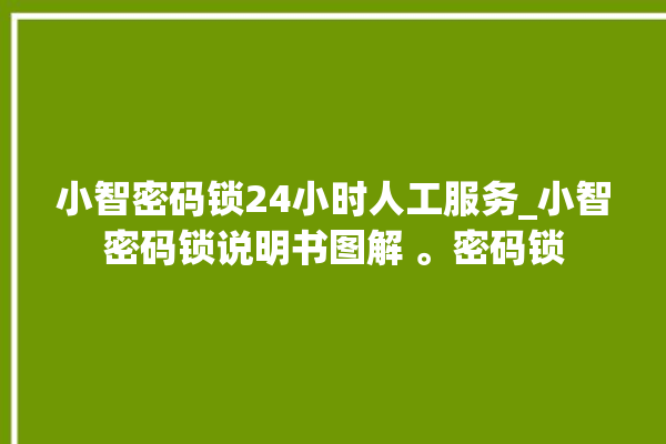 小智密码锁24小时人工服务_小智密码锁说明书图解 。密码锁