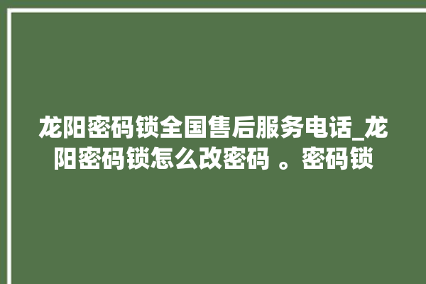 龙阳密码锁全国售后服务电话_龙阳密码锁怎么改密码 。密码锁