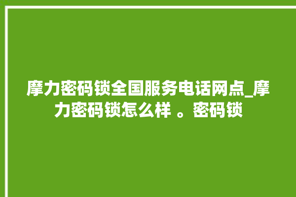 摩力密码锁全国服务电话网点_摩力密码锁怎么样 。密码锁