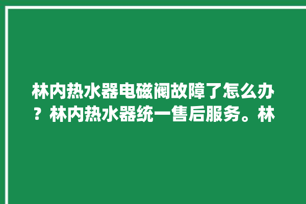 林内热水器电磁阀故障了怎么办？林内热水器统一售后服务。林内_热水器