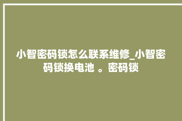 小智密码锁怎么联系维修_小智密码锁换电池 。密码锁