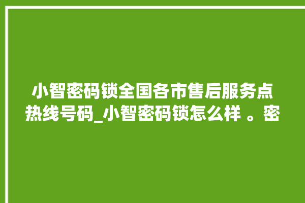 小智密码锁全国各市售后服务点热线号码_小智密码锁怎么样 。密码锁