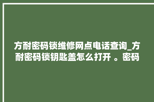 方耐密码锁维修网点电话查询_方耐密码锁钥匙盖怎么打开 。密码锁