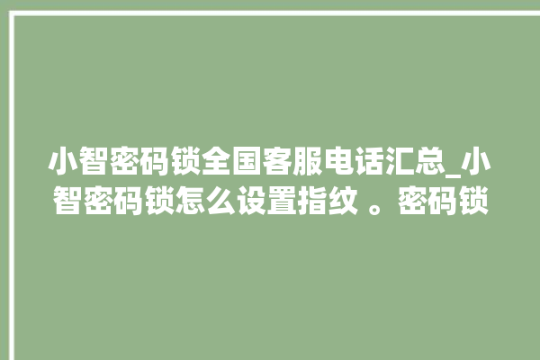 小智密码锁全国客服电话汇总_小智密码锁怎么设置指纹 。密码锁