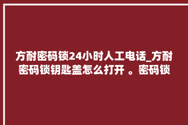 方耐密码锁24小时人工电话_方耐密码锁钥匙盖怎么打开 。密码锁