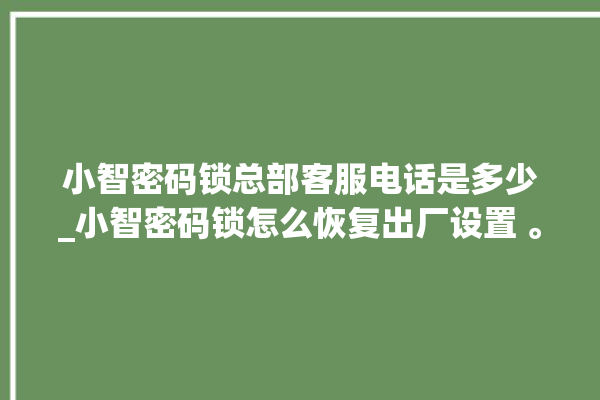 小智密码锁总部客服电话是多少_小智密码锁怎么恢复出厂设置 。密码锁