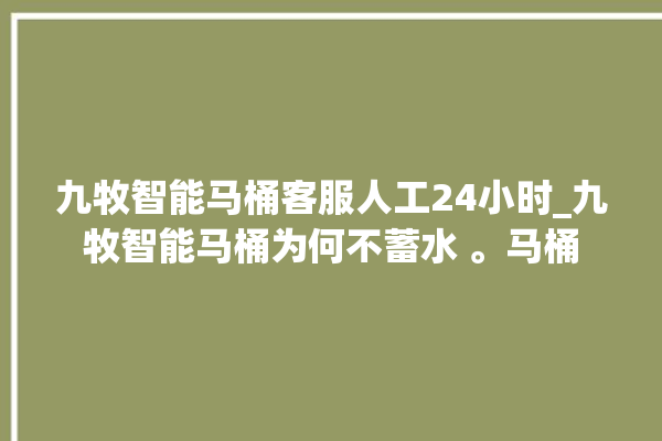 九牧智能马桶客服人工24小时_九牧智能马桶为何不蓄水 。马桶