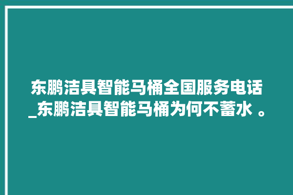 东鹏洁具智能马桶全国服务电话_东鹏洁具智能马桶为何不蓄水 。马桶