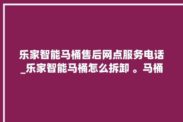 乐家智能马桶售后网点服务电话_乐家智能马桶怎么拆卸 。马桶