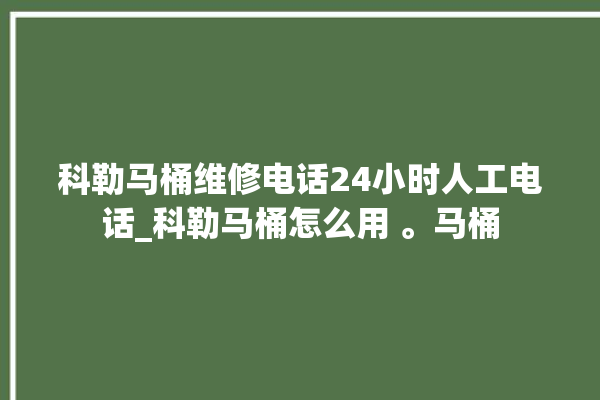 科勒马桶维修电话24小时人工电话_科勒马桶怎么用 。马桶