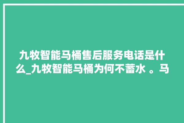 九牧智能马桶售后服务电话是什么_九牧智能马桶为何不蓄水 。马桶