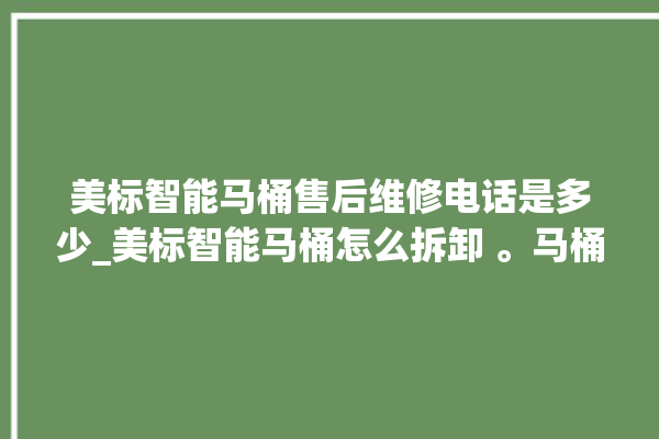 美标智能马桶售后维修电话是多少_美标智能马桶怎么拆卸 。马桶