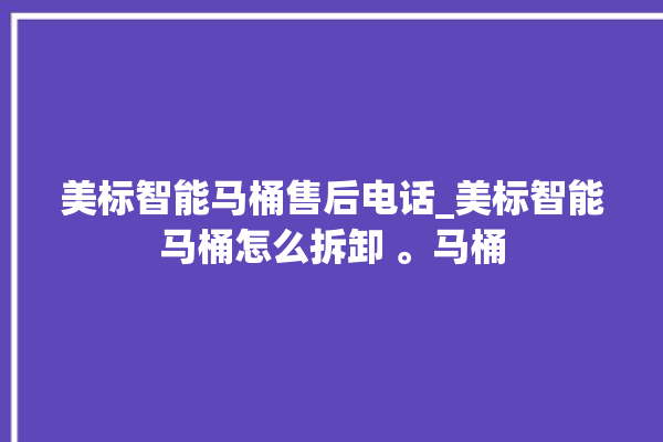 美标智能马桶售后电话_美标智能马桶怎么拆卸 。马桶