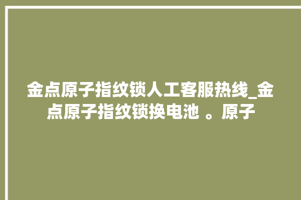 金点原子指纹锁人工客服热线_金点原子指纹锁换电池 。原子