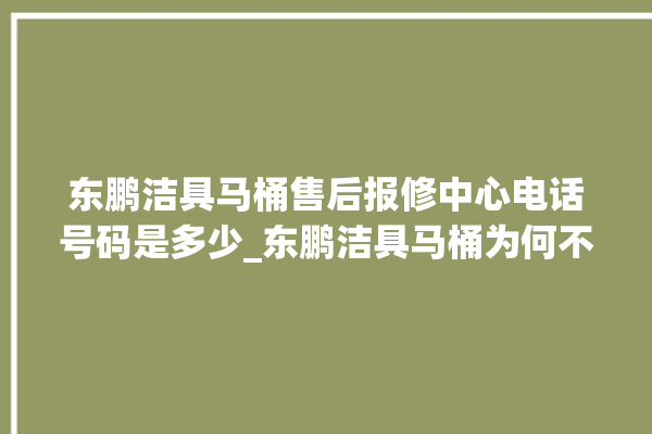 东鹏洁具马桶售后报修中心电话号码是多少_东鹏洁具马桶为何不蓄水 。马桶