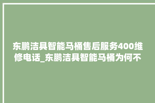 东鹏洁具智能马桶售后服务400维修电话_东鹏洁具智能马桶为何不蓄水 。马桶