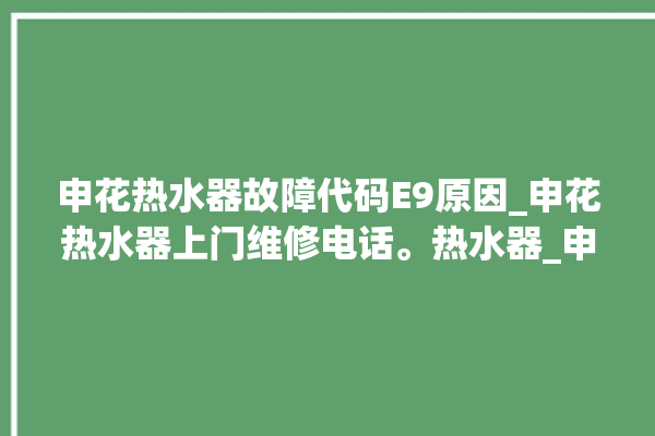 申花热水器故障代码E9原因_申花热水器上门维修电话。热水器_申花