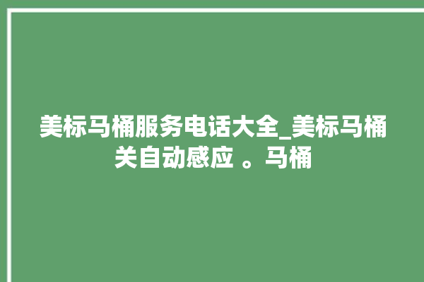 美标马桶服务电话大全_美标马桶关自动感应 。马桶