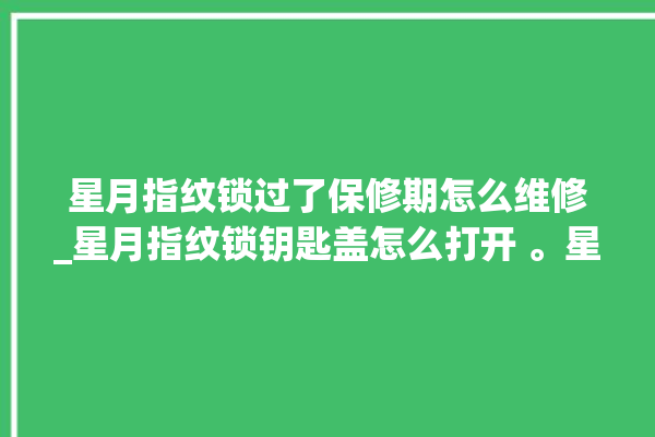 星月指纹锁过了保修期怎么维修_星月指纹锁钥匙盖怎么打开 。星月