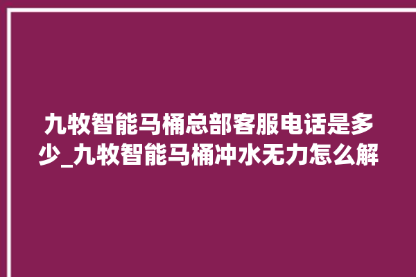 九牧智能马桶总部客服电话是多少_九牧智能马桶冲水无力怎么解决 。马桶