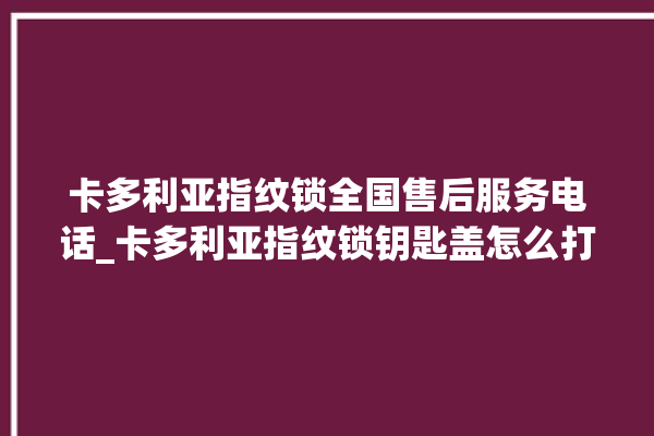 卡多利亚指纹锁全国售后服务电话_卡多利亚指纹锁钥匙盖怎么打开 。多利亚