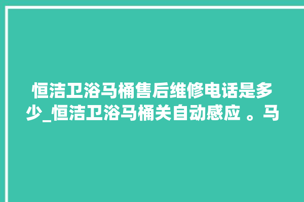 恒洁卫浴马桶售后维修电话是多少_恒洁卫浴马桶关自动感应 。马桶