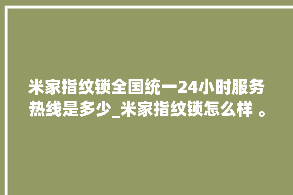 米家指纹锁全国统一24小时服务热线是多少_米家指纹锁怎么样 。指纹锁