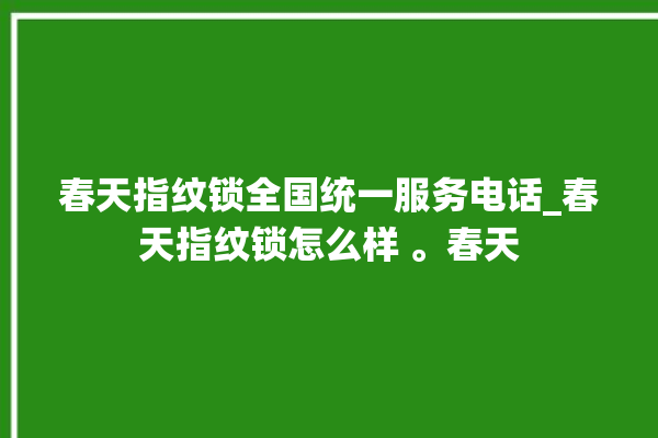 春天指纹锁全国统一服务电话_春天指纹锁怎么样 。春天