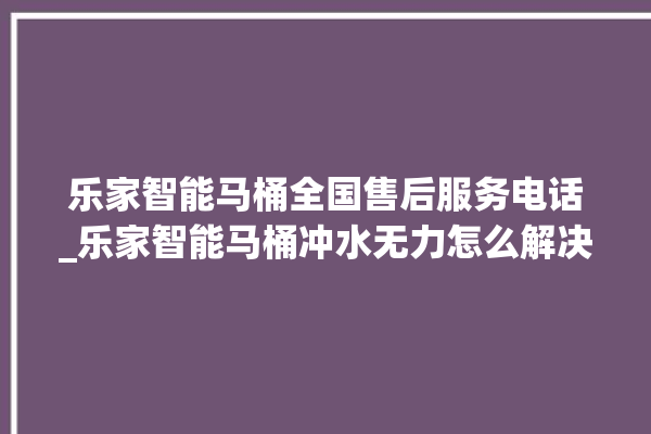 乐家智能马桶全国售后服务电话_乐家智能马桶冲水无力怎么解决 。马桶