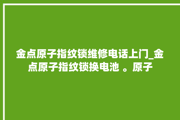 金点原子指纹锁维修电话上门_金点原子指纹锁换电池 。原子