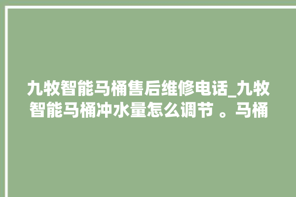 九牧智能马桶售后维修电话_九牧智能马桶冲水量怎么调节 。马桶