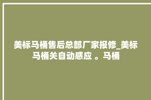 美标马桶售后总部厂家报修_美标马桶关自动感应 。马桶