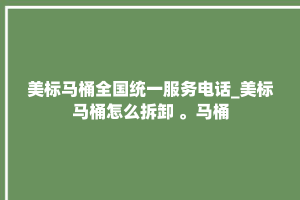 美标马桶全国统一服务电话_美标马桶怎么拆卸 。马桶