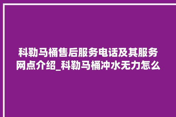 科勒马桶售后服务电话及其服务网点介绍_科勒马桶冲水无力怎么解决 。马桶