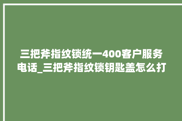 三把斧指纹锁统一400客户服务电话_三把斧指纹锁钥匙盖怎么打开 。三把