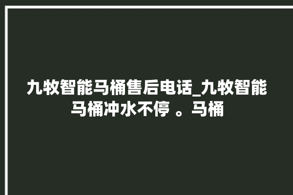 九牧智能马桶售后电话_九牧智能马桶冲水不停 。马桶