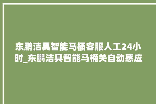 东鹏洁具智能马桶客服人工24小时_东鹏洁具智能马桶关自动感应 。马桶