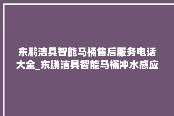 东鹏洁具智能马桶售后服务电话大全_东鹏洁具智能马桶冲水感应怎么调 。马桶