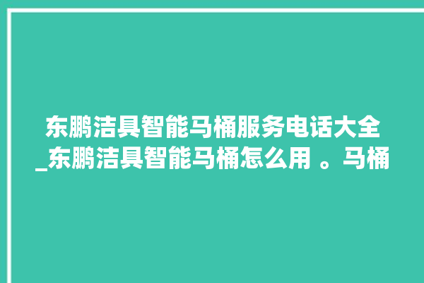 东鹏洁具智能马桶服务电话大全_东鹏洁具智能马桶怎么用 。马桶