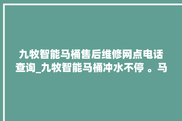 九牧智能马桶售后维修网点电话查询_九牧智能马桶冲水不停 。马桶