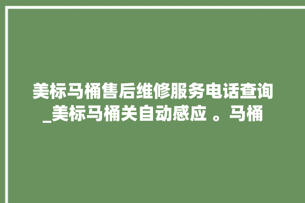 美标马桶售后维修服务电话查询_美标马桶关自动感应 。马桶