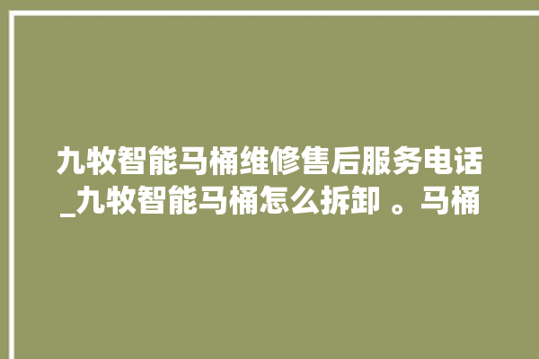 九牧智能马桶维修售后服务电话_九牧智能马桶怎么拆卸 。马桶