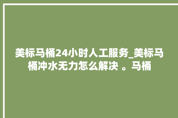 美标马桶24小时人工服务_美标马桶冲水无力怎么解决 。马桶