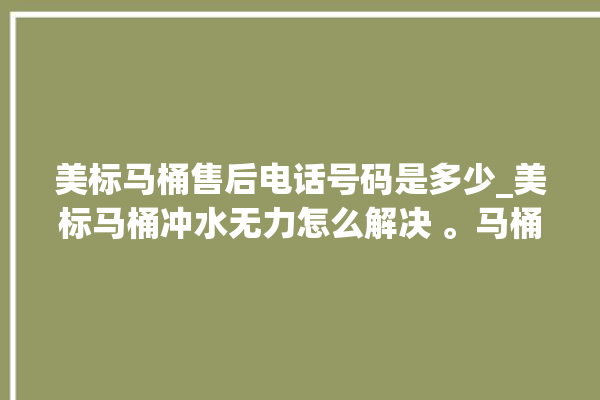 美标马桶售后电话号码是多少_美标马桶冲水无力怎么解决 。马桶