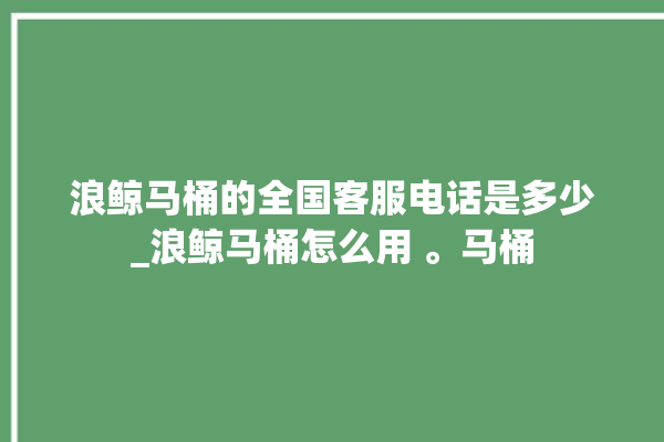 浪鲸马桶的全国客服电话是多少_浪鲸马桶怎么用 。马桶