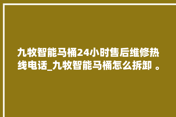 九牧智能马桶24小时售后维修热线电话_九牧智能马桶怎么拆卸 。马桶